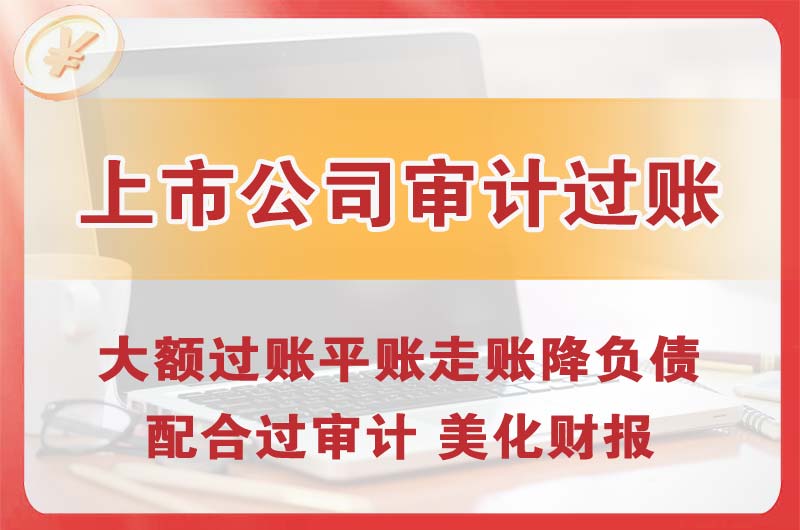 荷泽上市公司审计过账